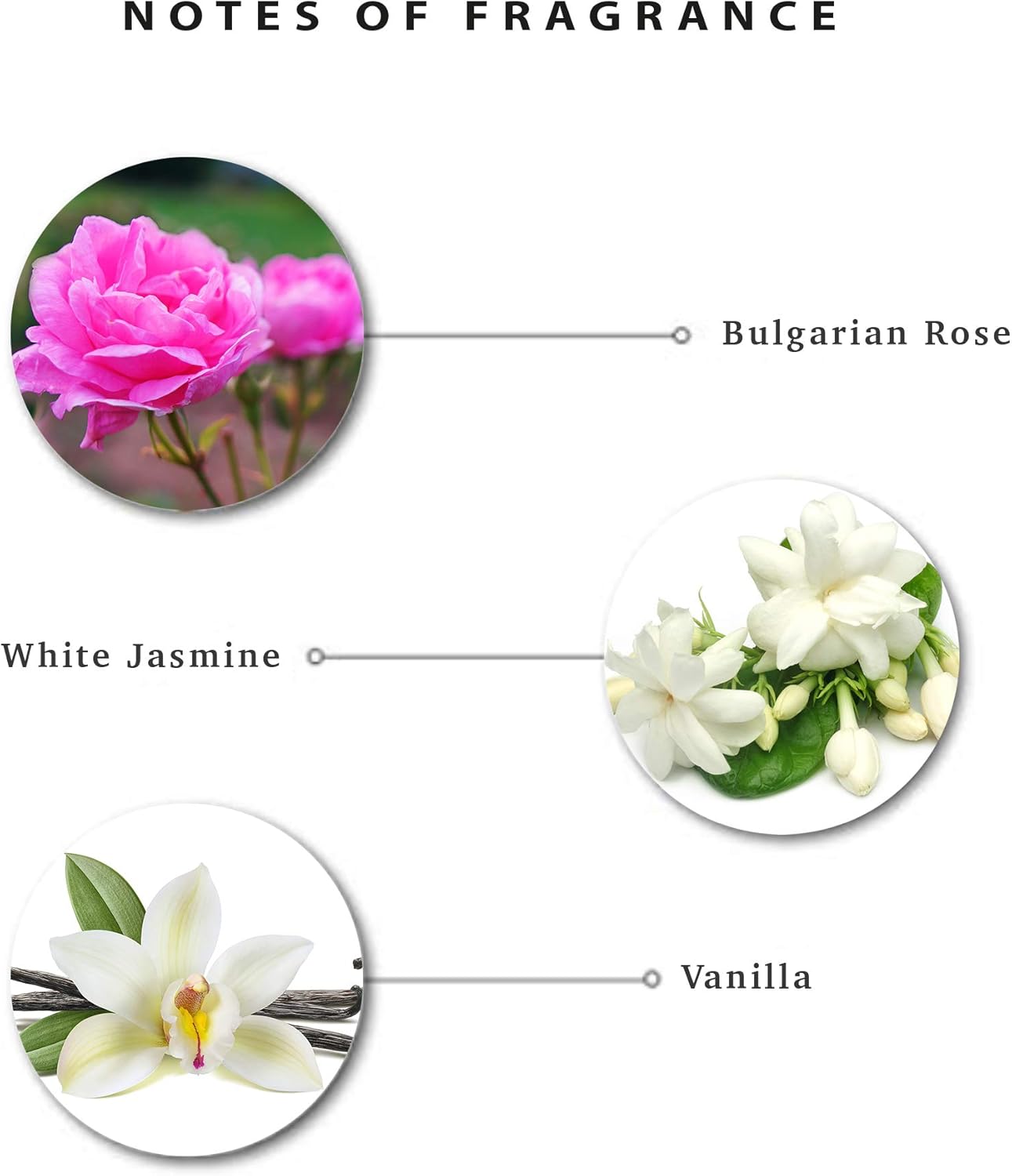 Enchanteur Romantic Perfume 2 PCS Combo Offer for Women | Long Lasting Rose Fragrance UAE